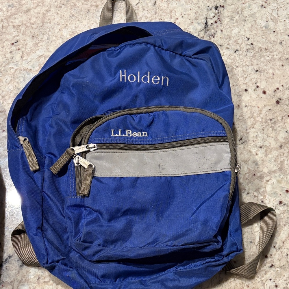L.L. Bean Men's Backpack in Blue and Gray